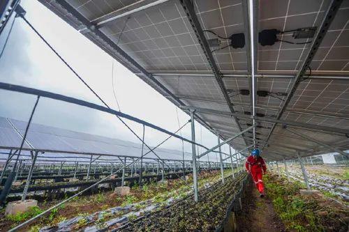 中國十三省最大光伏電站在這里！欽州康熙嶺的光伏電站能排上號了嗎？